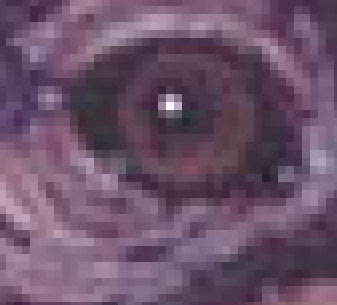 démo pixels